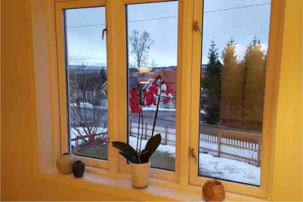 Villa Arctica Тромсё Экстерьер фото
